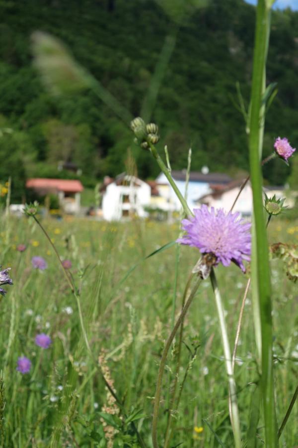 Apartamento Lenart Tolmin Exterior foto