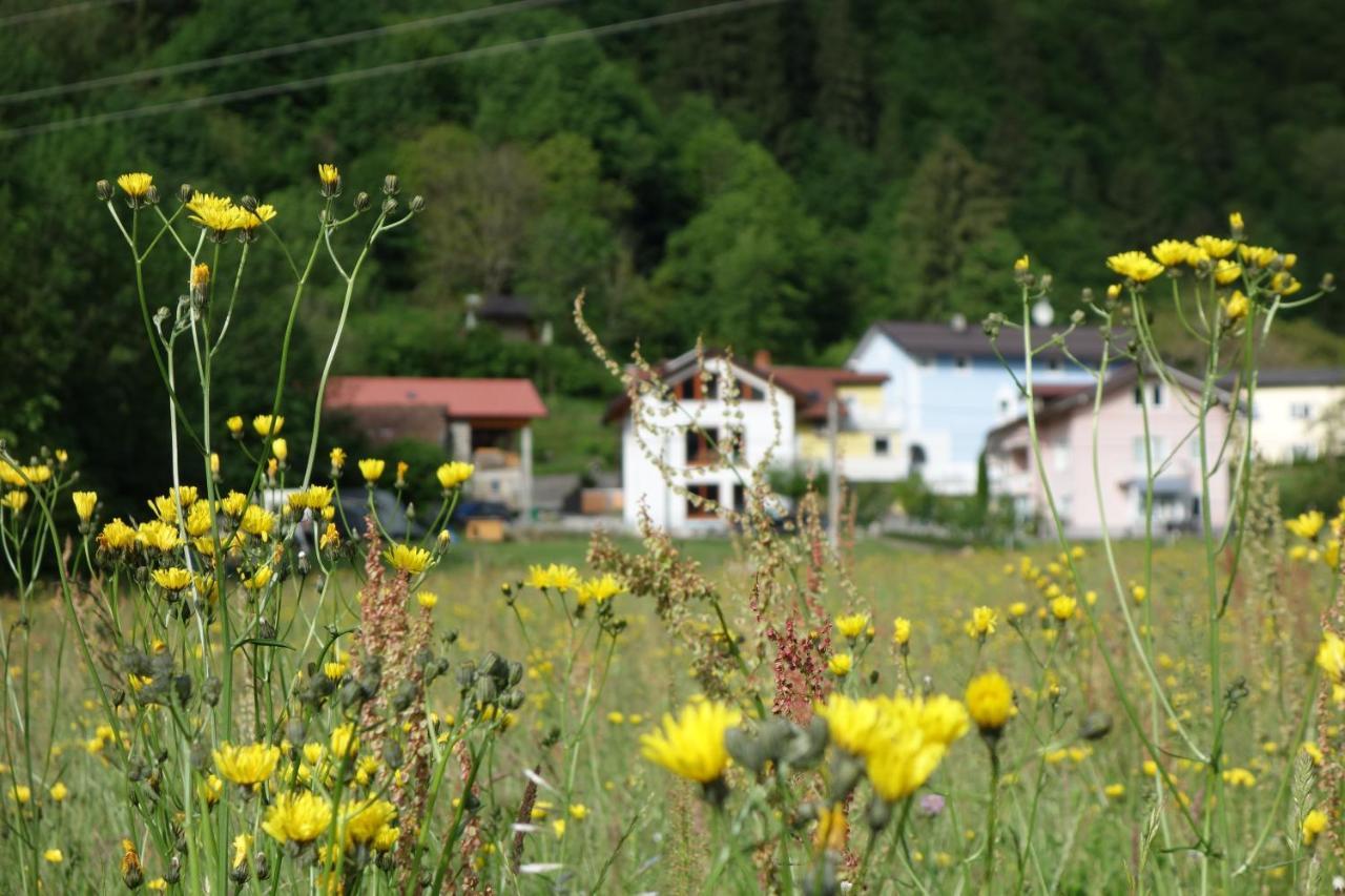 Apartamento Lenart Tolmin Exterior foto